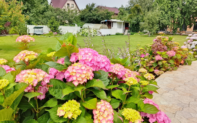 Uyutny Domik U Morya Apartments