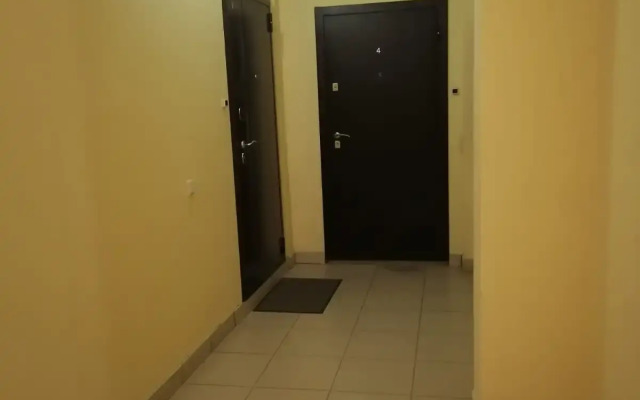 Квартира с окнами на лес