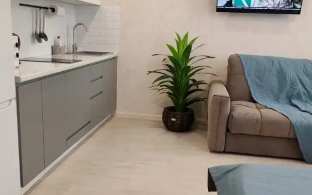 Квартира Видовая студия