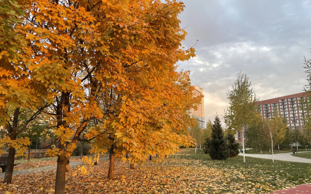 Апартаменты 218 Art Aparts на Ходыском Бульваре 20А