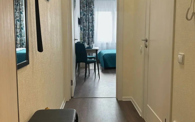 Uyutnaya Studiya Murinskaya Doroga Apartments