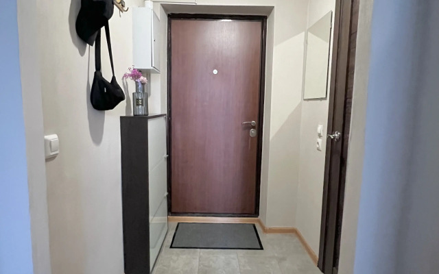 Апартаменты студия в 3х минутах пешком от м. Московская