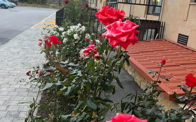 Квартира Квартир 215 ЖК Евпатория