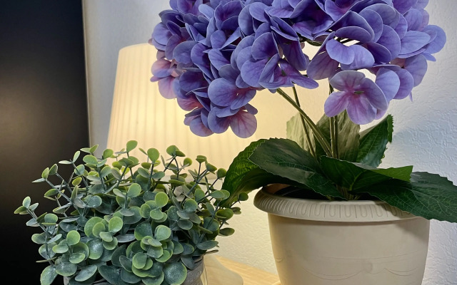 Квартира на Каштановой 4