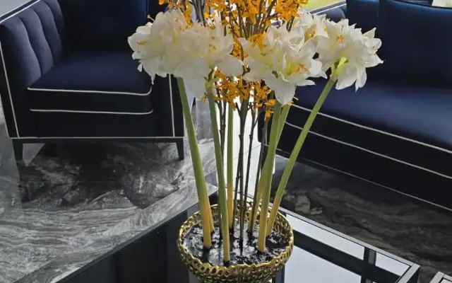 Квартира Новая Светлая в Самом Сердце Нижнего Новгорода