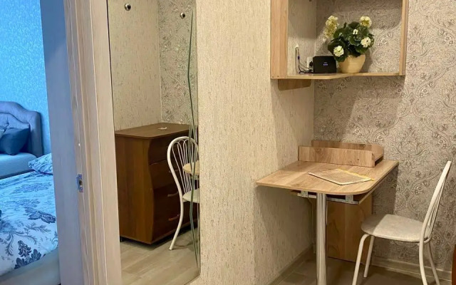 Квартира 2-комнатная студия в центре на Мичурина