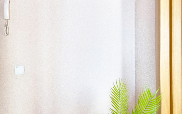 Апартаменты Бизнес класса Гармония у Ледового Дворца