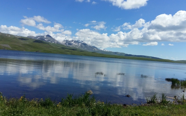 Апартаменты в Бакуриани