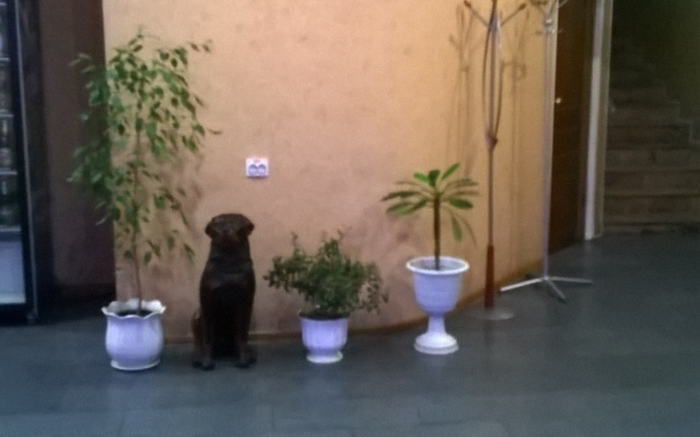 Hotel Sedmoe Nebo