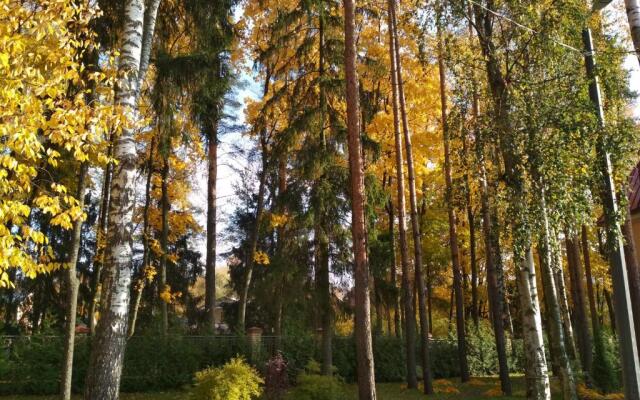 S Sadom Pavlovsk Apartments