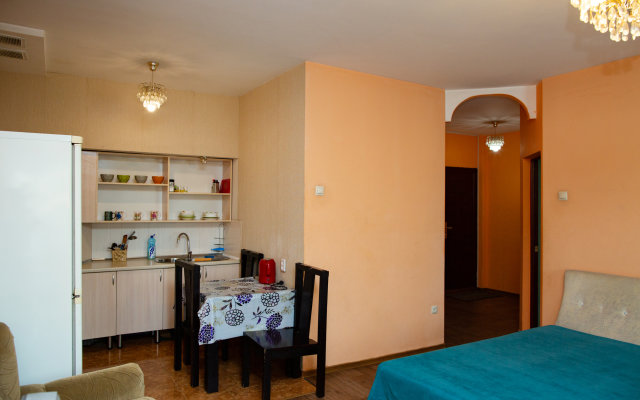 Dvukhkomnatnaya Studya V Tsentre Apartments