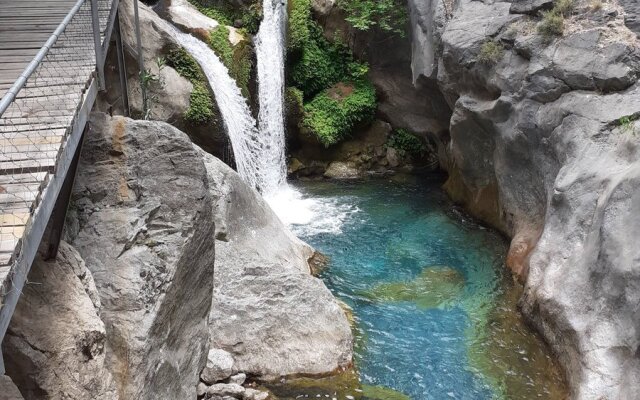 Отель Alanya Risus Park