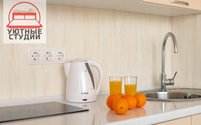 Уютная студия 4 на улице Фастовская