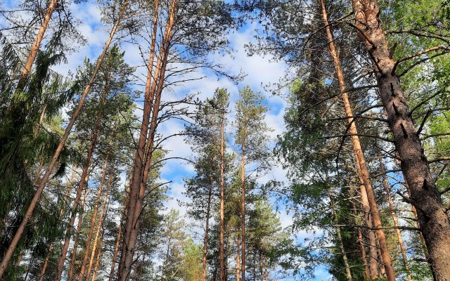 Гостевой дом Усадьба Коноваловых