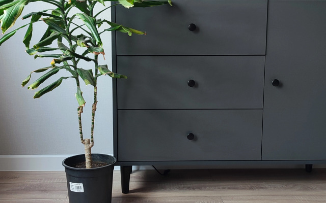 Квартира Студия в Догма парк