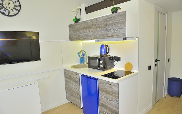 Апартаменты Студия с видом на Сити