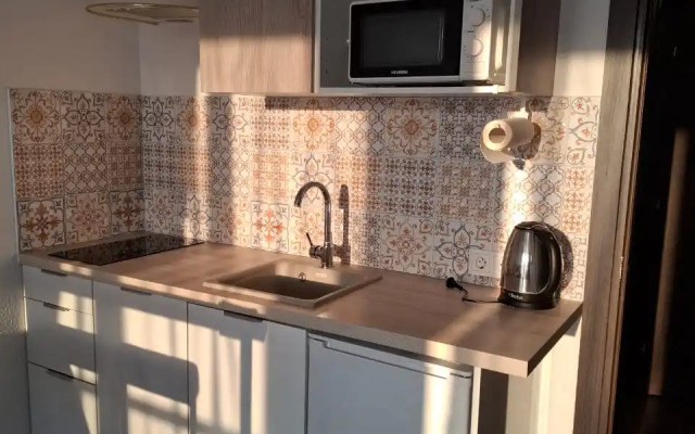 Studiya Na Beregu Zaliva Flat