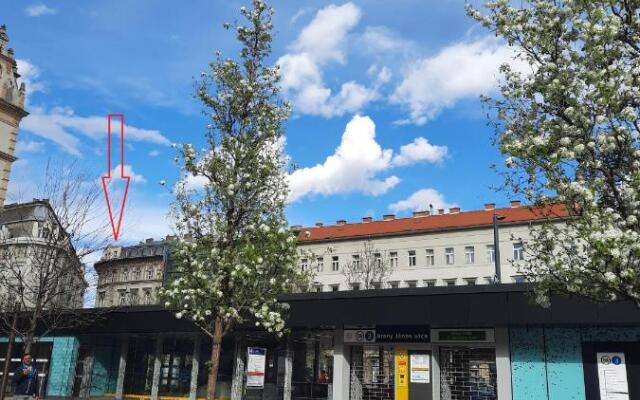 Аngel Basilica Apartments