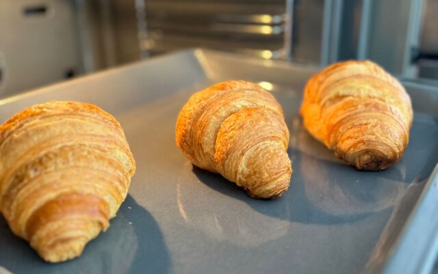 Частный дом с Камином в Сосновом Лесу