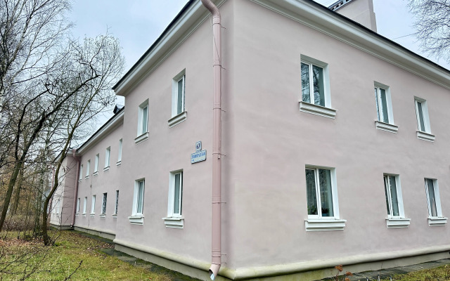 V Poselke Pesochny Flat