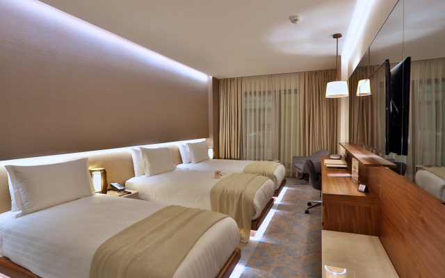 Dosso Dossi Hotels Downtown