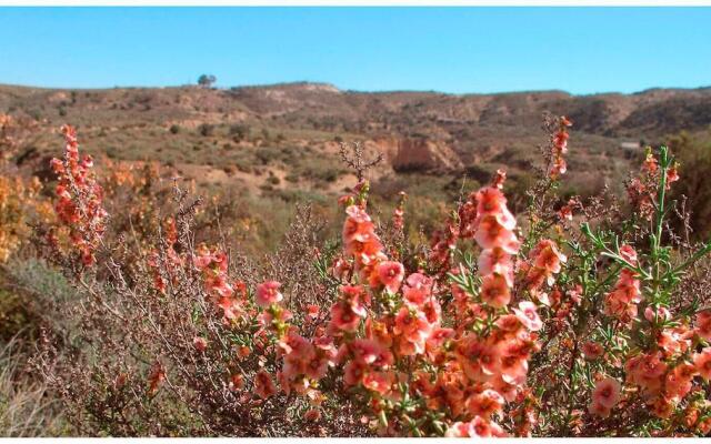 Гостевой Дом Cortijo Rural Urrá