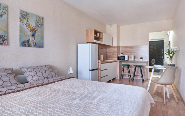 Апартаменты Студия