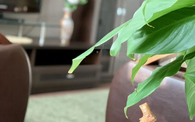 Квартира на Улице Кирова 3