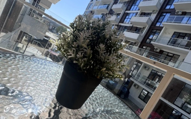 Zhk Sapfir Apartament 1