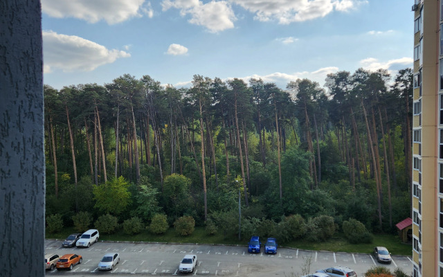Квартира Евро-однушка в ЖК Родник