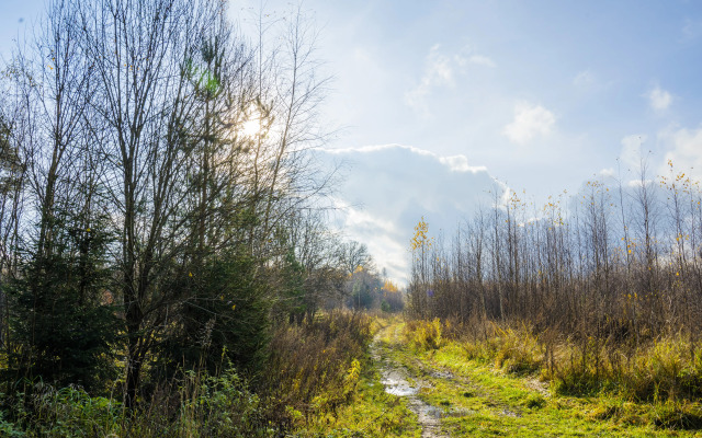 Частный дом Сфера в Лесу