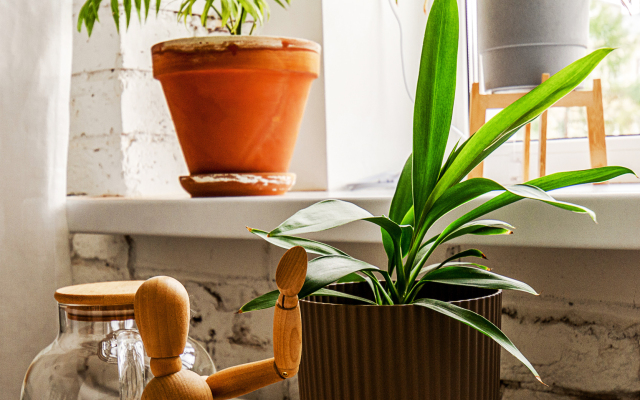 Апартаменты Studio 3 Neva