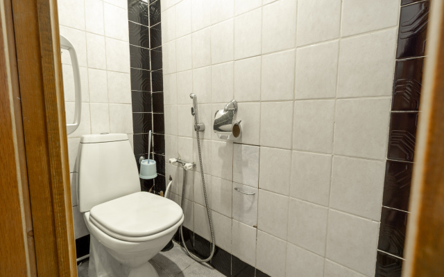 Point U Piter Apartments on Chernyshevskaya