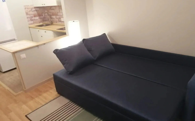 Comfortable Studio Vladimir Apartments