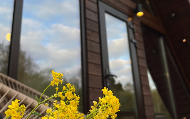 Dom S Kovrom Private house