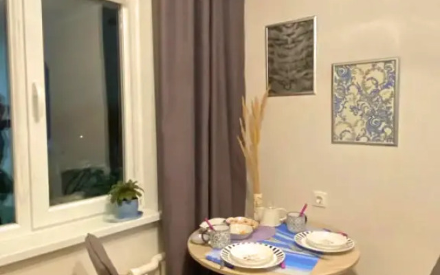U Rechnogo porta nedaleko ot tsentra Kazani Flat