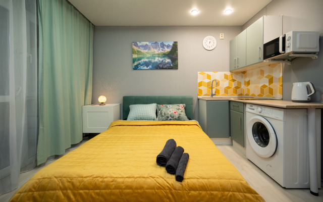 Апартаменты Уютная квартира на Солотчинской