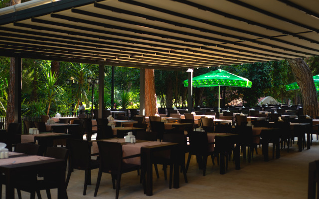 Festival Nature Hotel