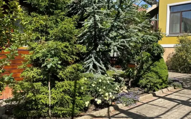 Yava Guest house