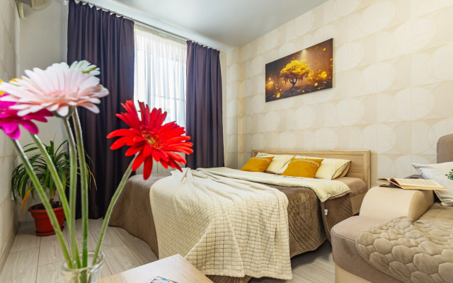 Квартира в ЖК Звездный