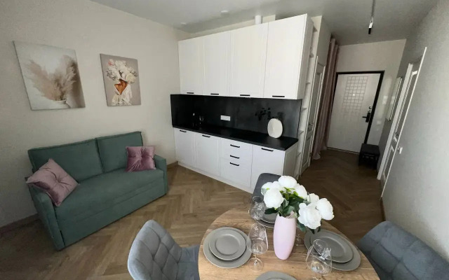 Odnokomnatnye Frukty Ren Apartment