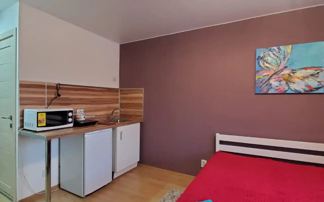 Апартаменты Студия 10