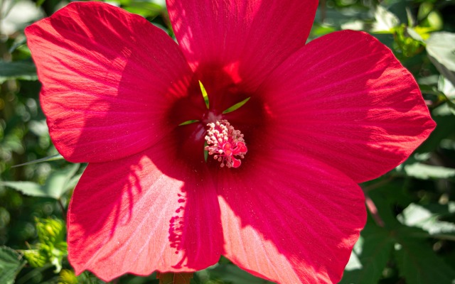 Отель 4 Rooms Boutique