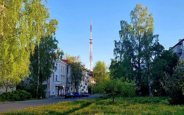 Istoricheskiy Sharm I Sovremenny Komfort Flat