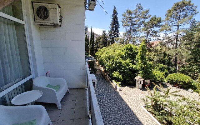 Palma Sochi 4