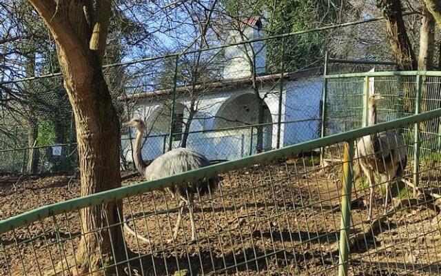 Polonezköy Country Club & Accommodation in the Wildlife Park