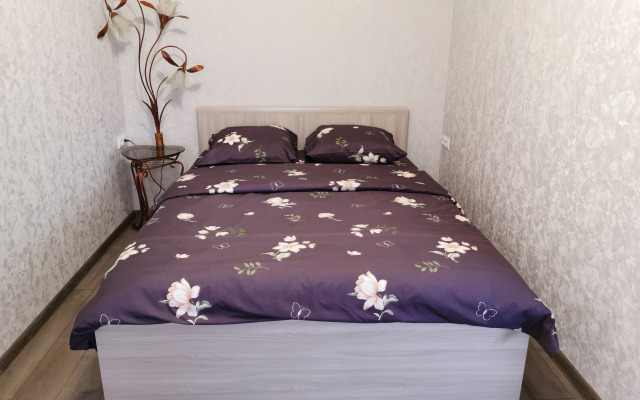 V Tsentre U Pogankinykh  I Menshikovykh Palat Flat