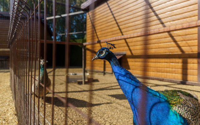 Отель Усадьба Фамилия