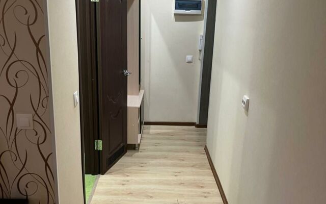 Апартаменты 1-комнатные в Центре Города на Ленина