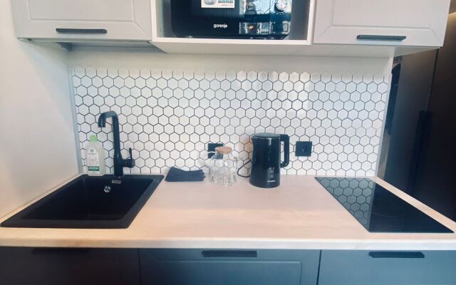 Apartments New Scandi on Tulskaya